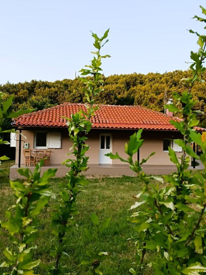 Billy'S House Villa Kalambaka Eksteriør billede